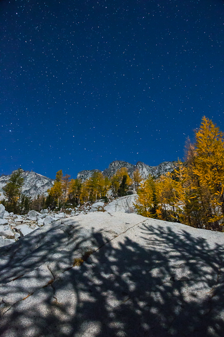 Alpine Larch Shadows by Moonlight on Granite in The Enchantments